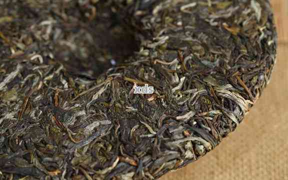 探究东海龙宫普洱茶品质、口感与泡法，了解这款茶叶的全方位信息