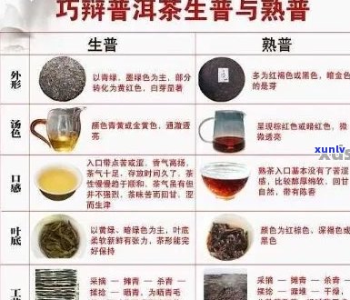 云南普洱茶的化学成分及其对人体健的影响