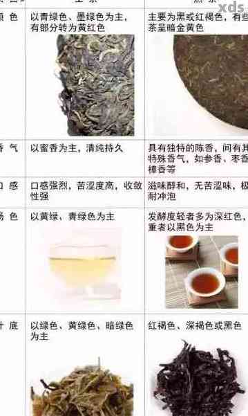 全面解析：普洱茶中的独特品种像豆豆，品饮方法与功效一应俱全！