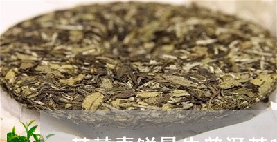 茉莉青饼是普洱茶吗？怎么喝？属于什么茶？生茶还是熟茶？