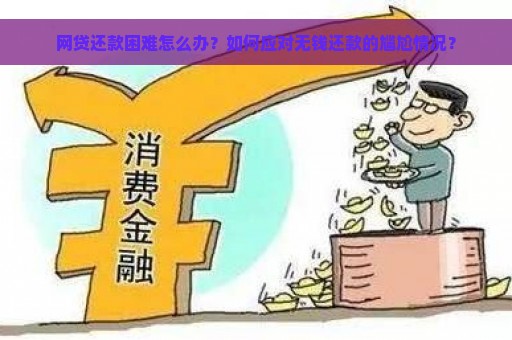 在无经济基础下，如何有效应对网贷还款挑战