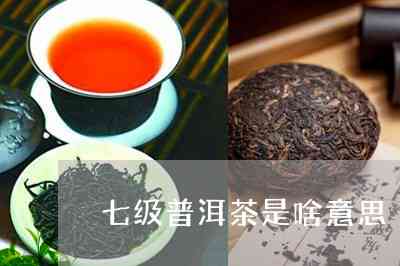 第七类普洱茶是什么茶