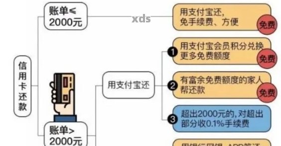 建行信用卡还款全攻略：详细步骤与注意事项