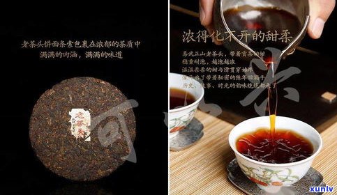 农大普洱茶工艺怎么样