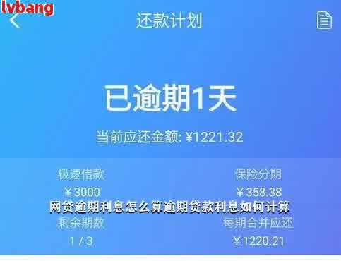 超过12点后还款算逾期吗？解答常见疑问并提供实际案例分析