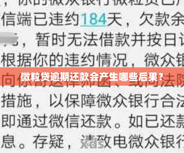 微粒贷逾期两天还款会怎么样：后果与影响全解析