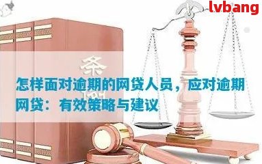 五个或六个网贷同时逾期：应对策略和解决方案详解