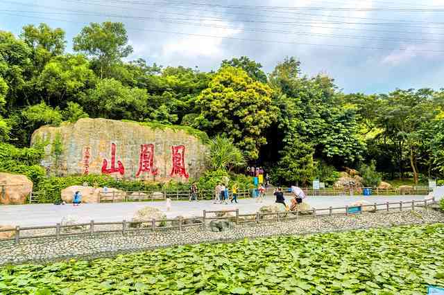 深圳凤凰山旅游景点：购买玉石的更佳去处