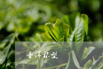 普洱茶荷香是什么味？荷香普洱茶的味型及熟茶里的荷香含义。