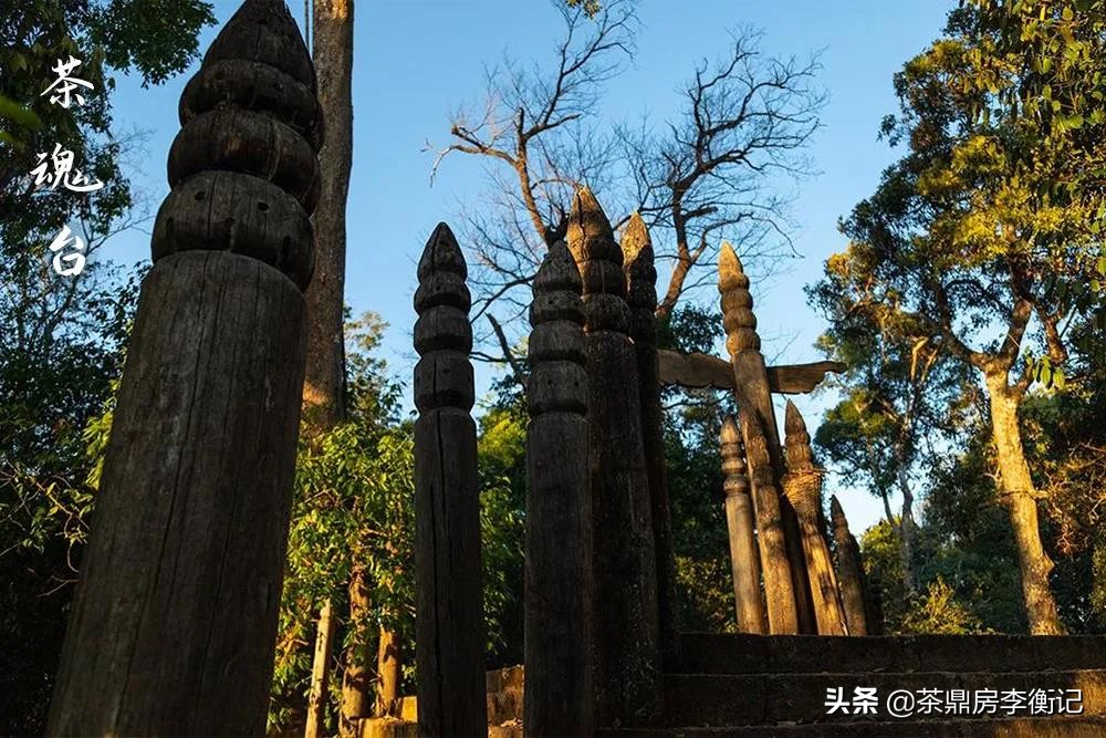 西北地区的普洱茶产地