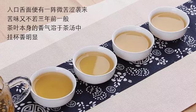 云南普洱茶推荐：哪一款更适合你的口味？