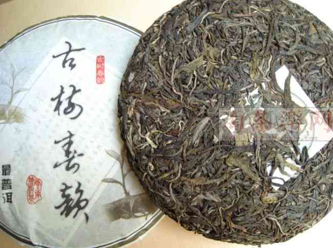 金枝玉业誉茗堂普洱茶