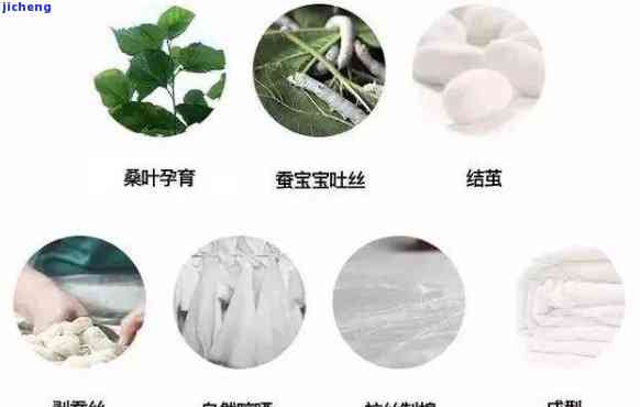 全面解析：玉蚕丝与桑蚕丝的区别及其特点，帮助您轻松挑选最适合的丝绸制品