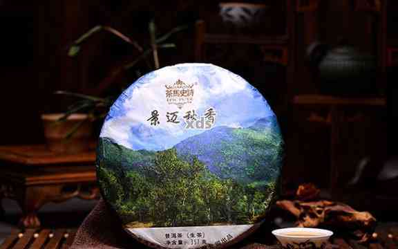 【醇厚浓】景迈山10年普洱熟茶，古树茶韵，品鉴珍藏佳品