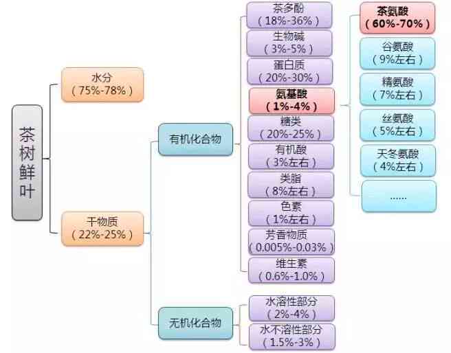 普洱茶氨基酸转化条件：探究其关键因素和影响机制