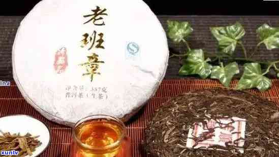 华千山普洱茶老班章：一款融合传统工艺与现代口感的稀世珍品