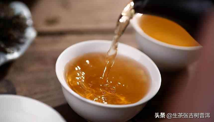 普洱茶内卷：深度解析茶叶的复杂性，让你重新认识这款中国茶