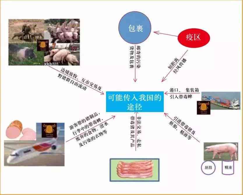 非洲翠成分：了解其来源、用途和健康益处的全面指南