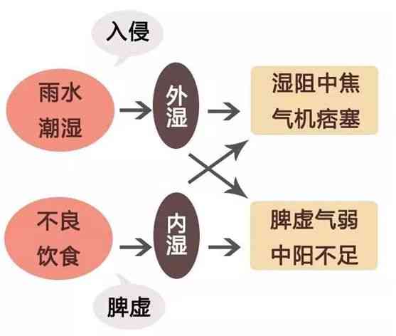 体寒湿气重戴什么首饰好：老人喝啥茶不伤脾胃，中医师的建议