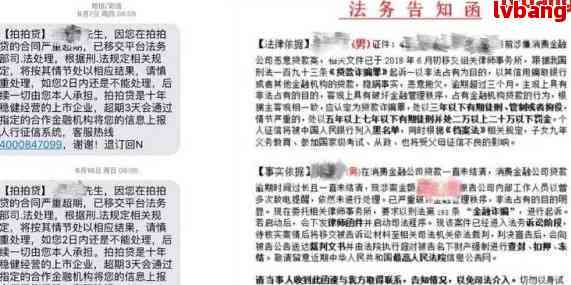 互联网法院起诉网贷逾期：有效性、流程和注意事项全解析