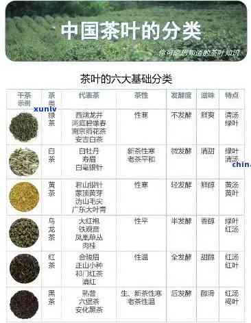 薄荷塘生普茶价格表：详细信息与品种比较，助您轻松选购