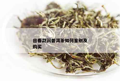 日春普洱茶怎么泡