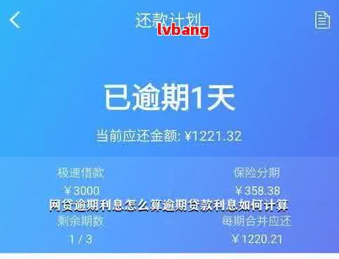 网贷逾期后还款期限、全款还贷与逾期罚息问题解答：一个全面的指南