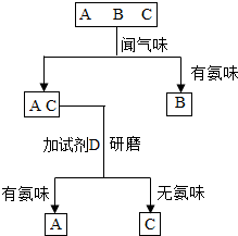 氯化钾肥在植物生长中的重要性：提高产量与质量的有效途径