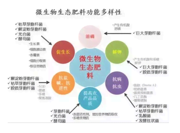 氯化钾肥在植物生长中的重要性：提高产量与质量的有效途径