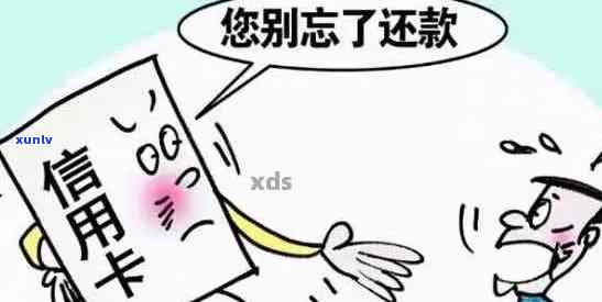 分期付款逾期解决方案：无需过去信用记录的帮助