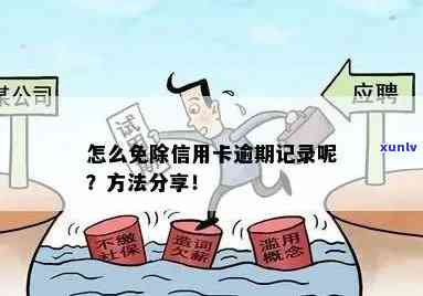 分期付款逾期解决方案：无需过去信用记录的帮助