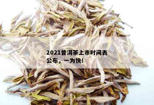 今年普洱茶上市啦没有？2021普洱茶上市时间公布！