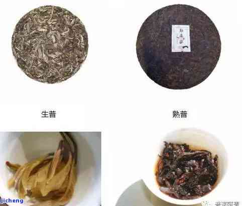 阿的普洱茶是什么茶