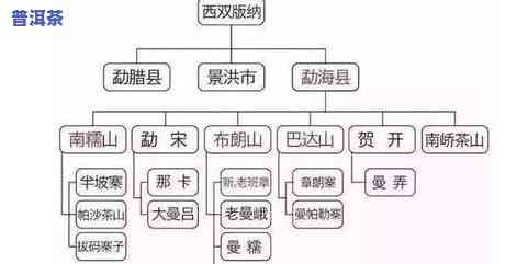 普洱茶的产地在云南，云南省是普洱茶的主要产区。