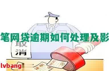 如何有效处理网贷逾期记录，消除负面影响并避免再次逾期？