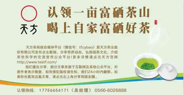 六山缘茶业有限责任公司官网、招聘和评价：关于六山缘茶业的全面信息