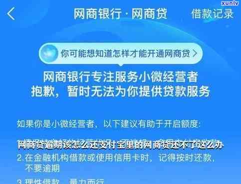 从借呗借钱来偿还网商贷：可行的解决方案与注意事项