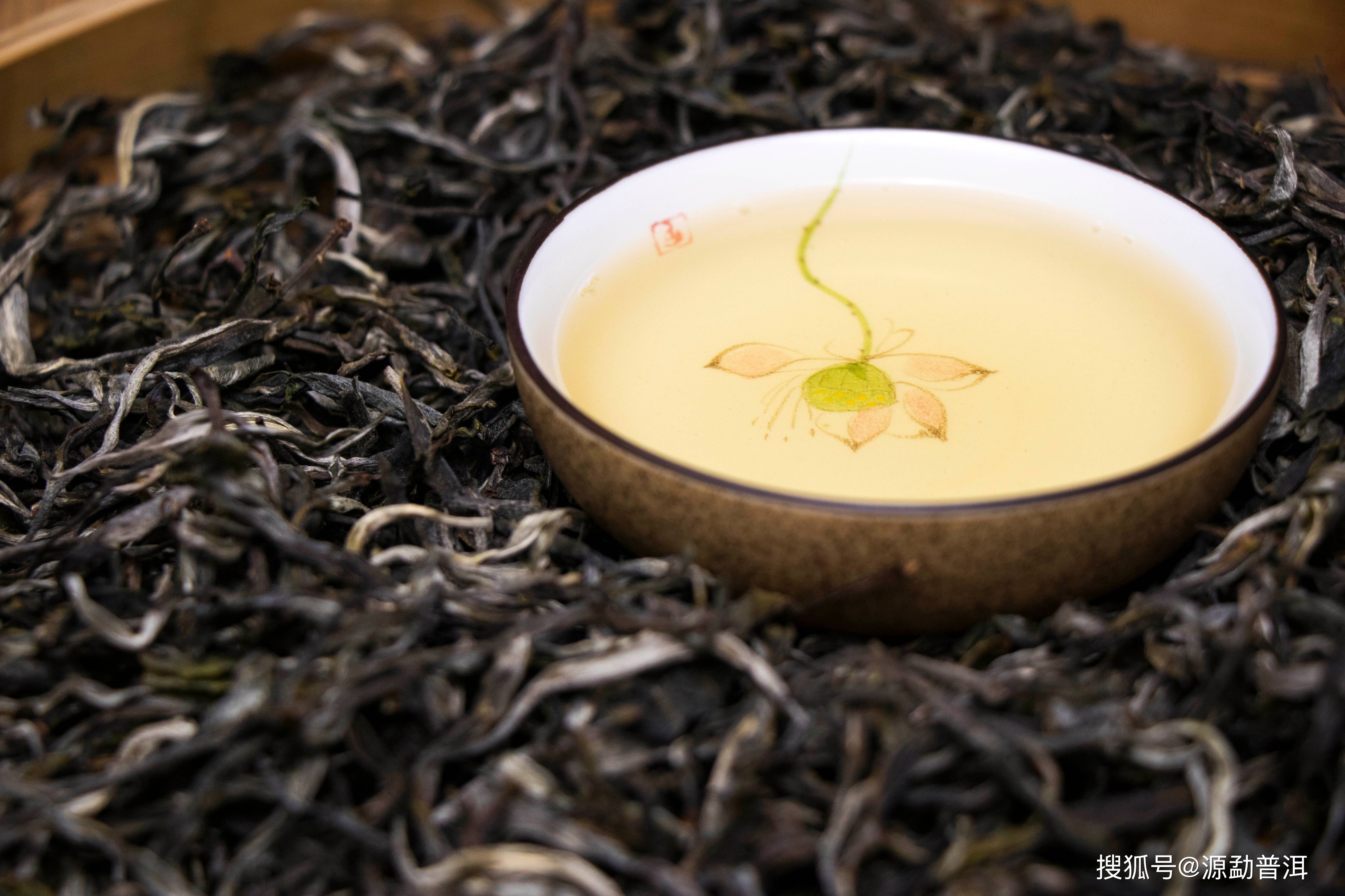 花香浓的普洱茶推荐：优质茶叶精选