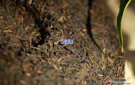 普洱茶湿度：合适的保存范围与可能的发霉问题