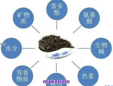 普洱茶茶叶质量保护：关键步骤与实践策略