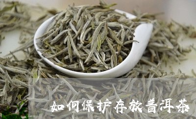 怎么保护普洱茶的茶叶