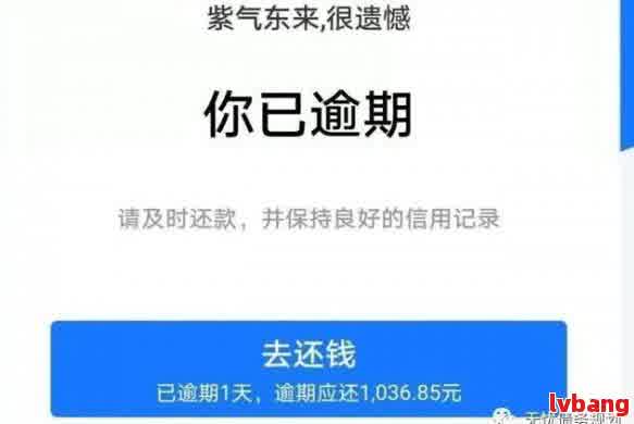 新使用借呗还款本期分期，详尽步骤与注意事项解析