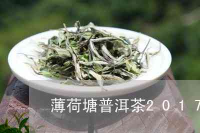 薄荷塘普洱茶：绿茶还是红茶？