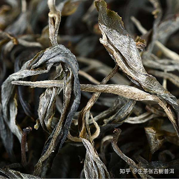 薄荷塘普洱茶：绿茶还是红茶？