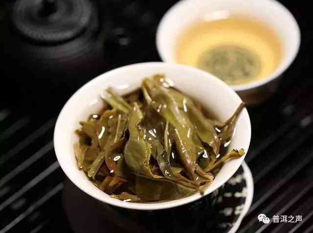 薄荷塘普洱茶：绿茶还是红茶？