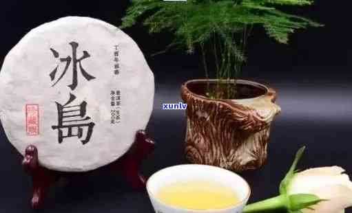 探索普洱茶的世界：冰岛茶与普通茶叶的对比分析