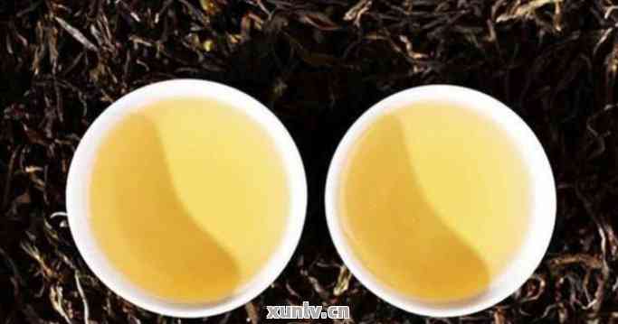 探索普洱茶的世界：冰岛茶与普通茶叶的对比分析