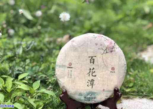 百花潭普洱茶：品质、档次、产地等全面解析，助您挑选合适的茶叶