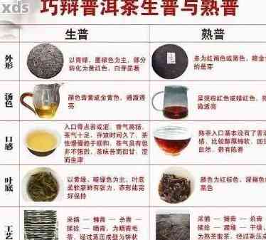 普洱茶的异味来源及其对品质的影响：如何分辨香气与异味？