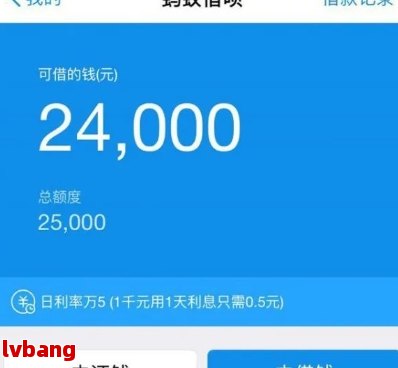 蚂蚁借呗额度20万，还款周期是多久？